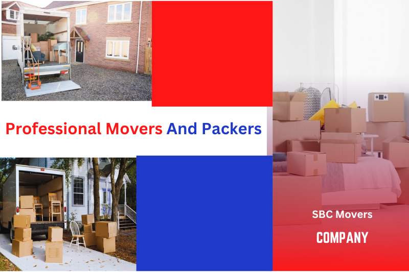 Professional Movers And Packers In Dubai Marina