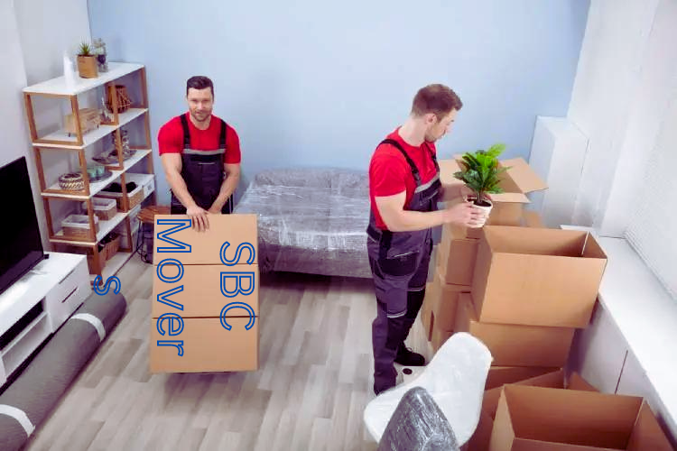 Movers and Packers in Sharjah