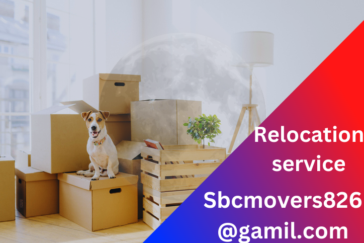 Relocation Services Abu Dhabi