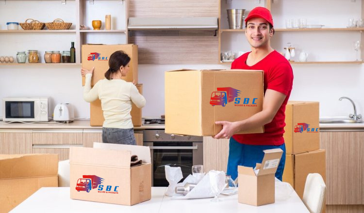 Professional Movers and Packers in Dubai